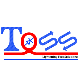 toss logo_v02